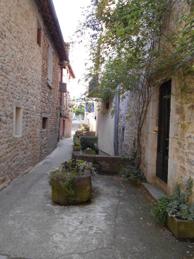 7 Rue Droite Villa Saint-Antonin-Noble-Val Exterior photo